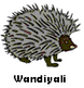 Wandiyali